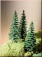 71925 Auhagen 3 evergreens
